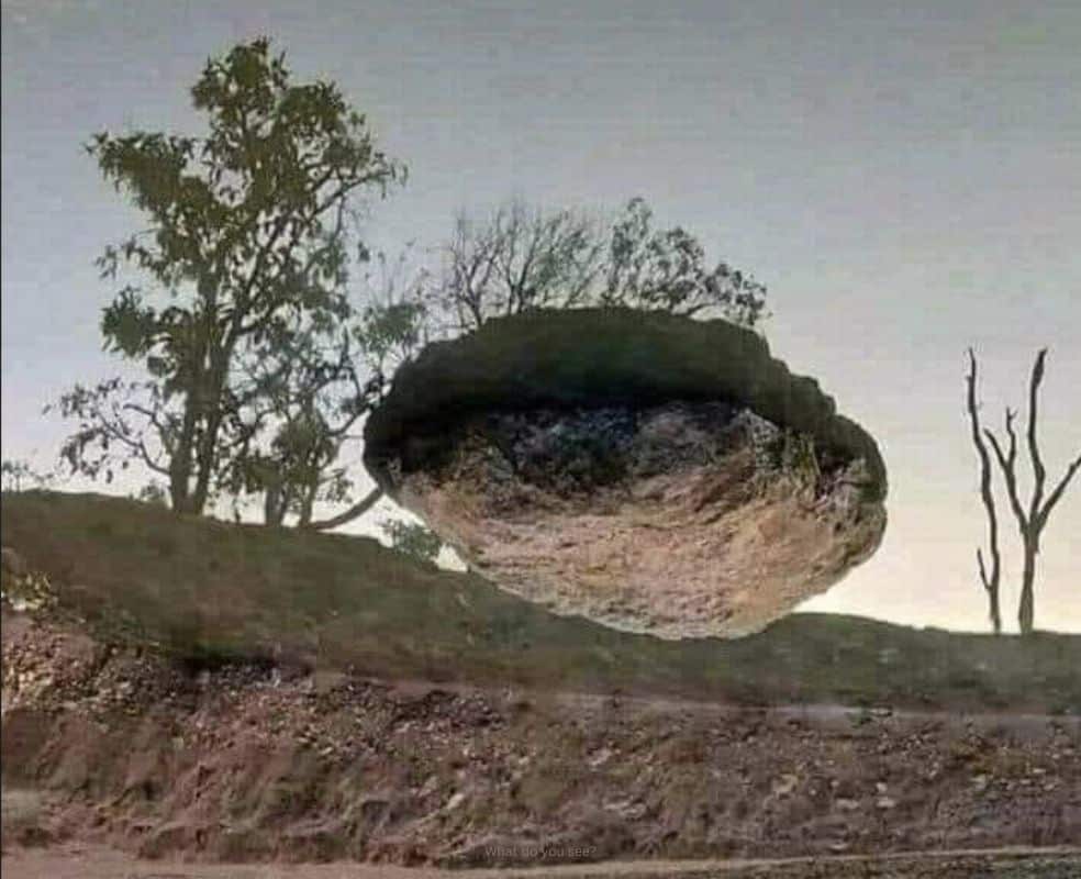 EBLI confusion is like this image of a rock that seems to be floating in the air with trees in the background.